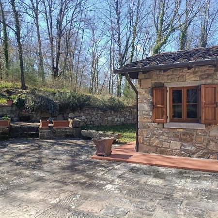 Greenview - Casavacanza Poppi Esterno foto