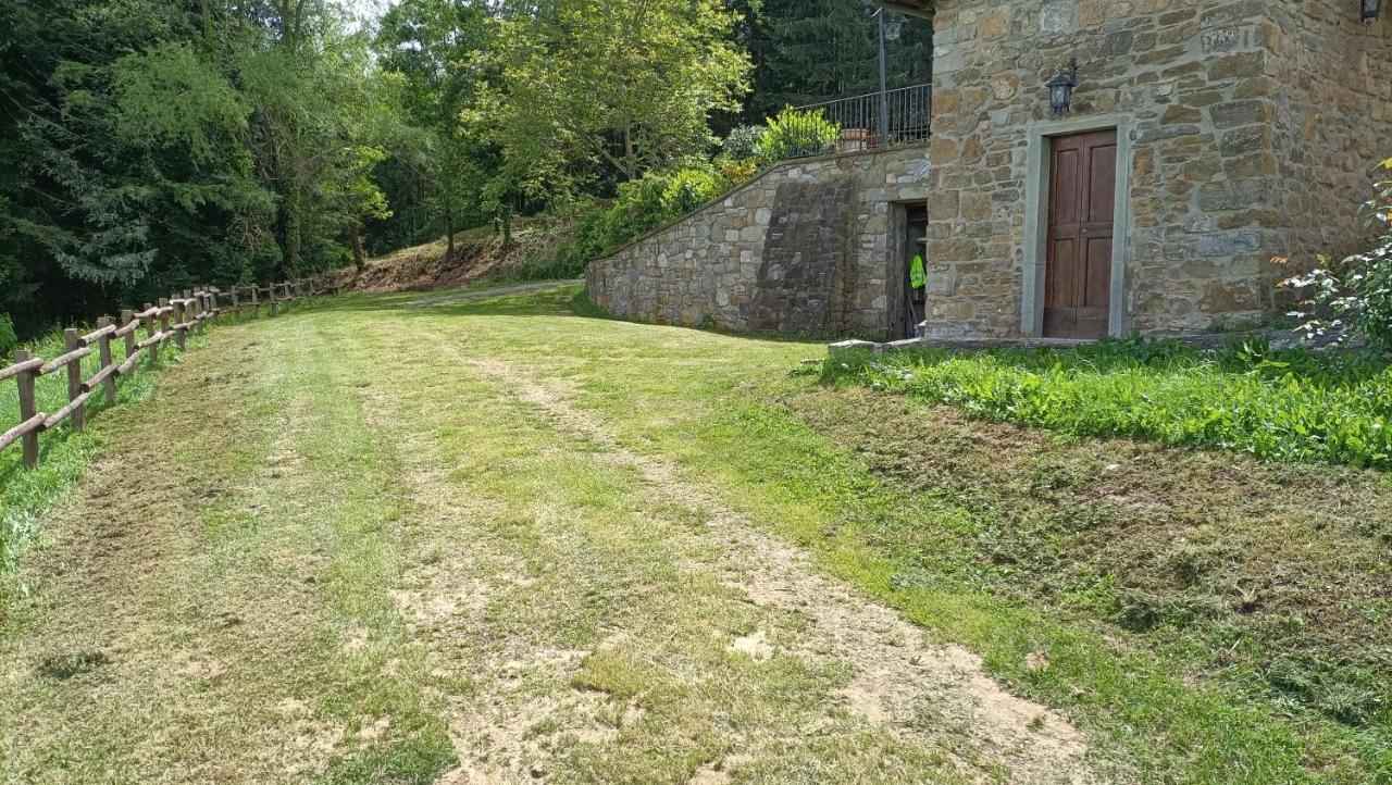 Greenview - Casavacanza Poppi Esterno foto